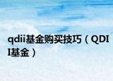qdii基金购买技巧（QDII基金）
