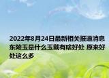 2022年8月24日最新相关报道消息 东陵玉是什么玉戴有啥好处 原来好处这么多
