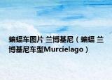 蝙蝠车图片 兰博基尼（蝙蝠 兰博基尼车型Murcielago）