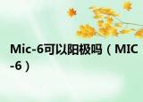 Mic-6可以阳极吗（MIC-6）