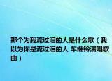 那个为我流过泪的人是什么歌（我以为你是流过泪的人 车继铃演唱歌曲）