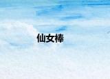 仙女棒