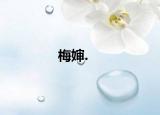 梅婶.