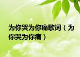 为你哭为你痛歌词（为你哭为你痛）