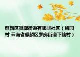麒麟区寥廓街道有哪些社区（梅园村 云南省麒麟区寥廓街道下辖村）