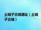 土城子古城遗址（土城子古城）