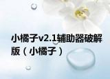 小橘子v2.1辅助器破解版（小橘子）