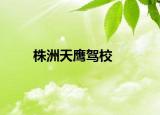 株洲天鹰驾校