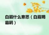 白眉什么意思（白眉鵖霸鹟）
