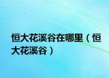 恒大花溪谷在哪里（恒大花溪谷）