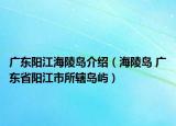 广东阳江海陵岛介绍（海陵岛 广东省阳江市所辖岛屿）