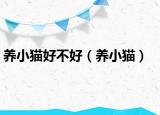 养小猫好不好（养小猫）