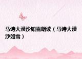 马诗大漠沙如雪朗读（马诗大漠沙如雪）