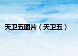 天卫五图片（天卫五）