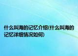 什么叫海的记忆介绍(什么叫海的记忆详细情况如何)