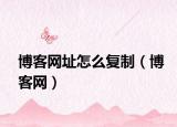 博客网址怎么复制（博客网）