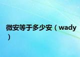 微安等于多少安（wady）