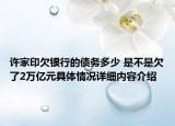 许家印欠银行的债务多少 是不是欠了2万亿元具体情况详细内容介绍