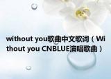 without you歌曲中文歌词（Without you CNBLUE演唱歌曲）
