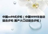 中国m99式步枪（中国M99半自动狙击步枪 国产大口径狙击步枪）