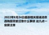 2022年8月24日最新相关报道消息 选购翡翠要注意什么事项 这几点一定要注意