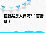 百野栞是人偶吗?（百野栞）