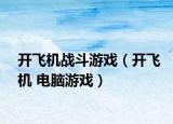 开飞机战斗游戏（开飞机 电脑游戏）