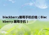 blackberry黑莓手机价格（Blackberry 黑莓手机）