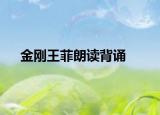 金刚王菲朗读背诵