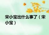 宋小宝出什么事了（宋小宝）