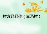 村方乃乃佳（其乃村）