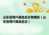 山东省博兴县地名志有哪些（山东省博兴县地名志）