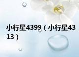 小行星4399（小行星4313）