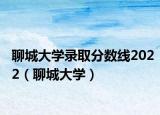 聊城大学录取分数线2022（聊城大学）