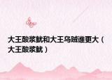 大王酸浆鱿和大王乌贼谁更大（大王酸浆鱿）