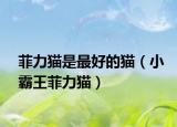 菲力猫是最好的猫（小霸王菲力猫）