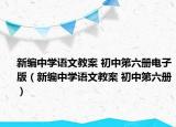 新编中学语文教案 初中第六册电子版（新编中学语文教案 初中第六册）