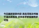 今日最新更新内容 直击河南汝州抽干湖水抓怪鱼 水中杀手鳄雀鳝有多可怕