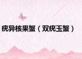 疣异核果蟹（双疣玉蟹）