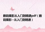 数码摄影从入门到精通pdf（数码摄影--从入门到精通）