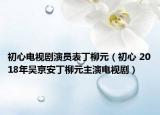 初心电视剧演员表丁柳元（初心 2018年吴京安丁柳元主演电视剧）