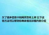 欠了很多信用卡和网贷怎样上岸 以下这些方法可以帮到你具体情况详细内容介绍