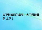 大卫科波菲尔章节（大卫科波菲尔 上下）