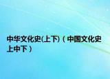 中华文化史(上下)（中国文化史 上中下）