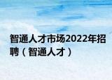 智通人才市场2022年招聘（智通人才）
