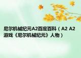 尼尔机械纪元A2百度百科（A2 A2 游戏《尼尔机械纪元》人物）