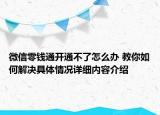 微信零钱通开通不了怎么办 教你如何解决具体情况详细内容介绍
