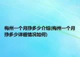 梅州一个月挣多少介绍(梅州一个月挣多少详细情况如何)