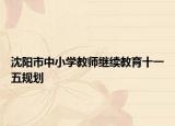 沈阳市中小学教师继续教育十一五规划
