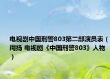 电视剧中国刑警803第二部演员表（周扬 电视剧《中国刑警803》人物）